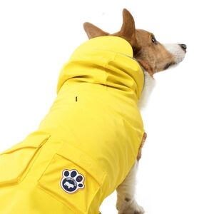 Canada Pooch Yellow Dog Raincoat with Striped Lining